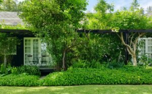 7 Essential Outdoor Planters for Wild Backyards