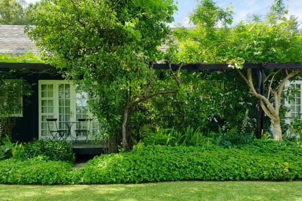 7 Essential Outdoor Planters for Wild Backyards