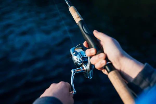 Best Fishing Reels for Every Angler
