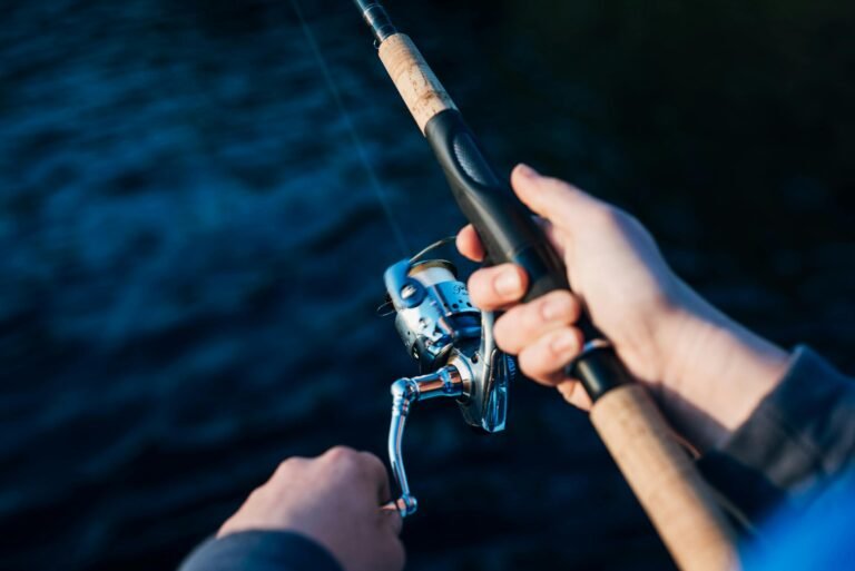 Best Fishing Reels for Every Angler