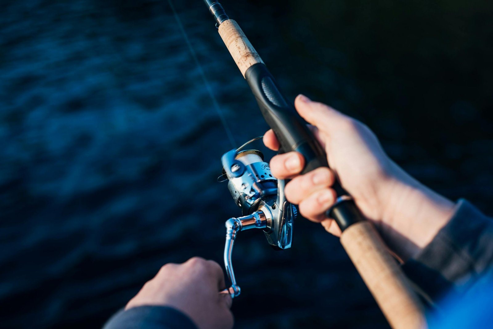 Best Fishing Reels for Every Angler