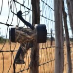 THE 5 BEST HUNTING SPOTLIGHTS (FIELD-TESTED & WOMAN-HUNTER APPROVED)