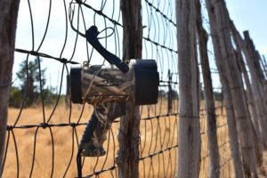 THE 5 BEST HUNTING SPOTLIGHTS (FIELD-TESTED & WOMAN-HUNTER APPROVED)