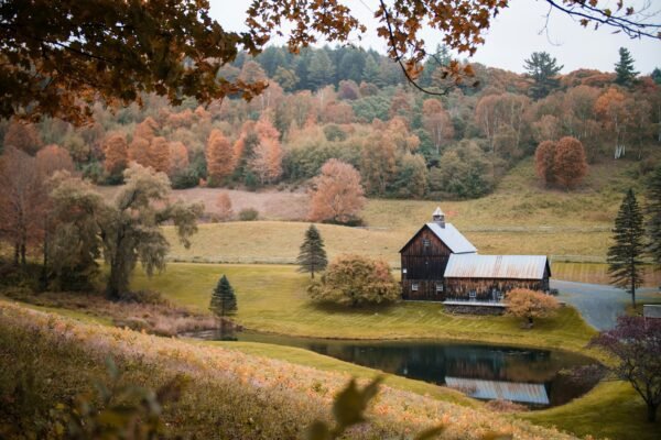 Avoid Expensive Future Repairs With Proactive Property Maintenance