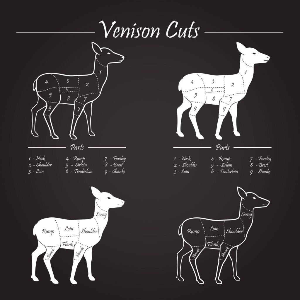 Deer Meat Cuts