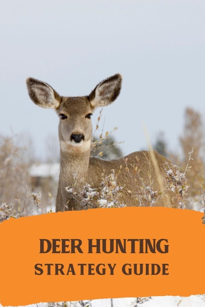 Deer Hunting Strategy Guide
