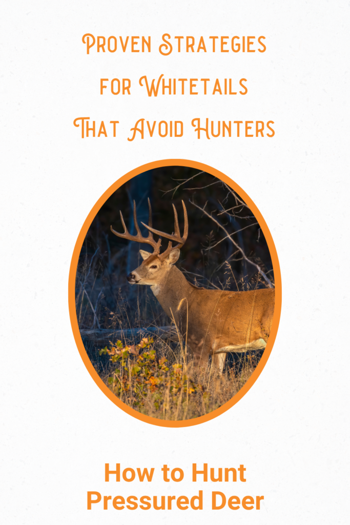 How to Hunt Pressured Deer: Proven Strategies for Whitetails That Avoid Hunters