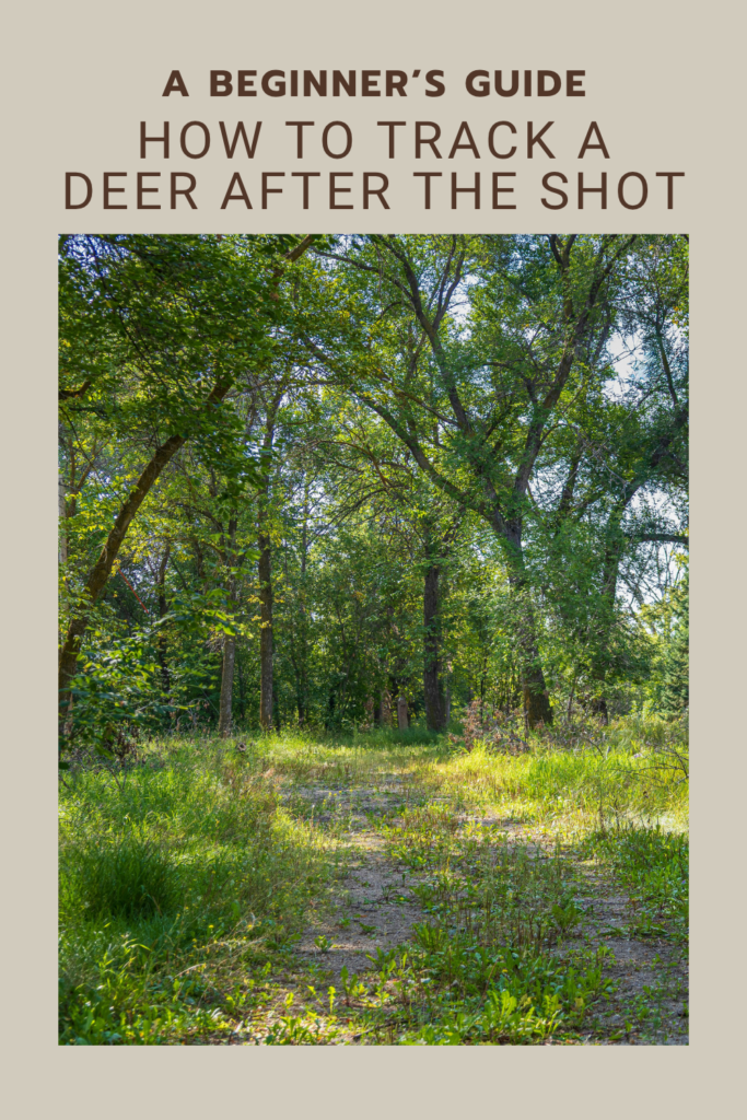 How to Track a Deer After the Shot: A Beginner’s Guide to Blood Trailing and Recovery
