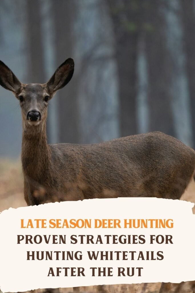 Late Season Deer Hunting: Proven Strategies for Hunting Whitetails After the Rut