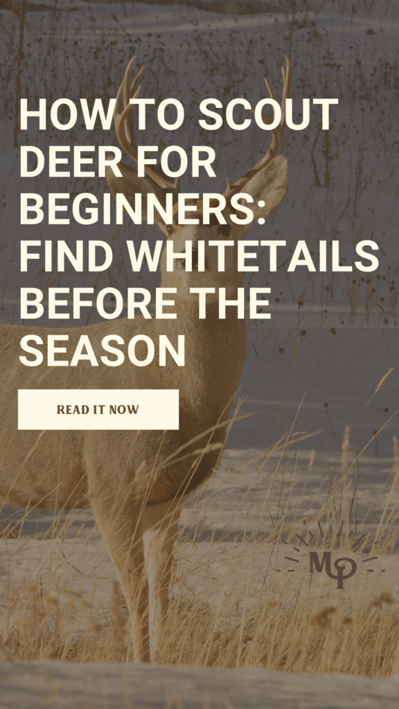 How to Scout Deer for Beginners