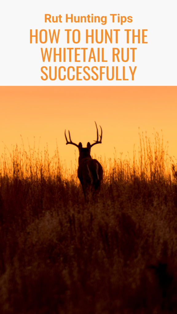 Rut Hunting Tips: How to Hunt the Whitetail Rut Successfully