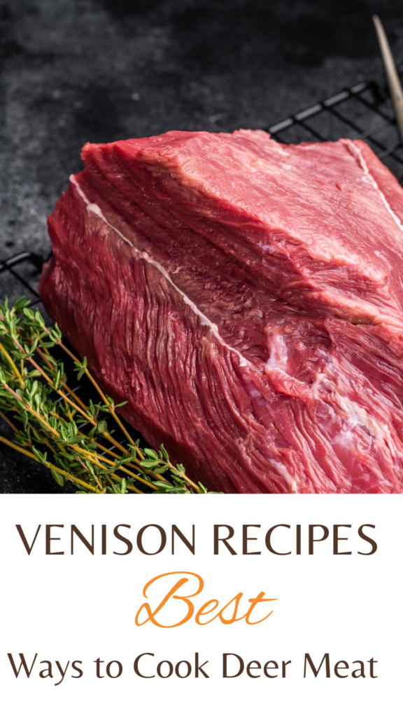 Venison Recipes