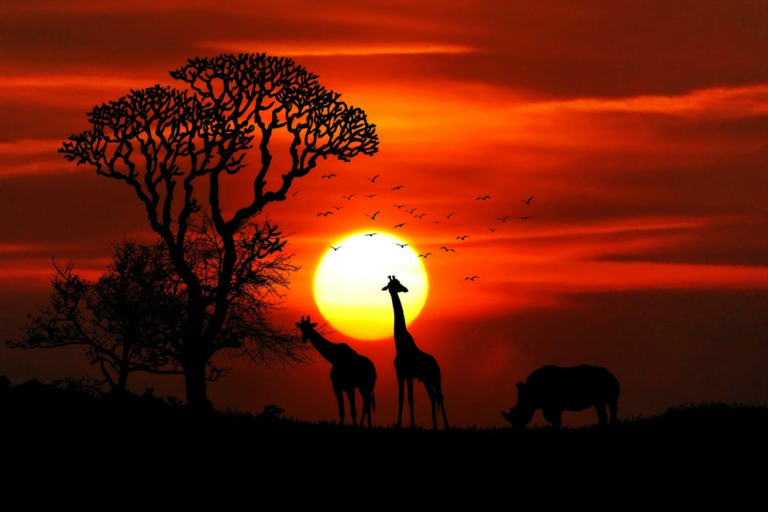 Amazing Adventure Destinations to Consider