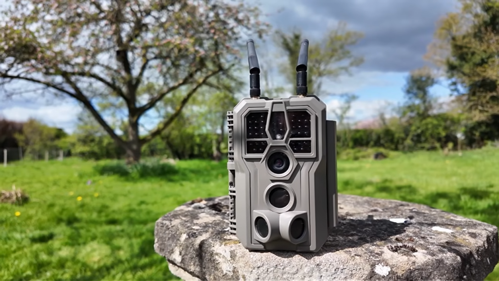 How Trail Cameras Help Catch Trespassers and Poachers