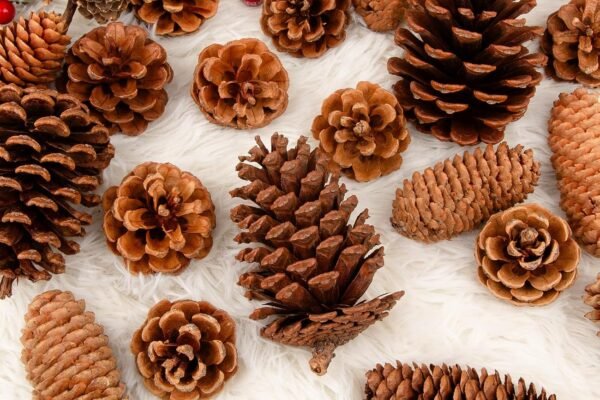 15 DIY Thanksgiving Tablescapes: Simple, Stunning & Affordable Ideas for Outdoorsy Families